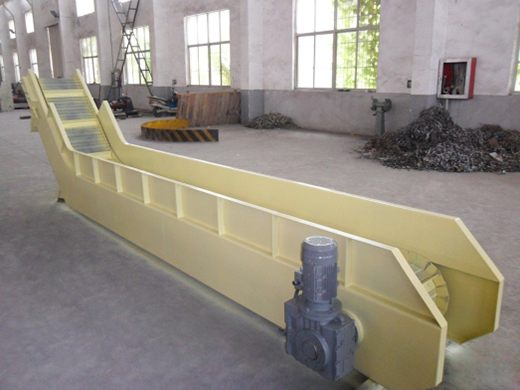 网链午夜福利在线观看视频