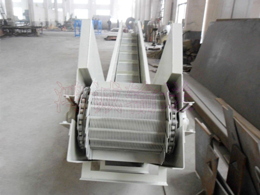 网带午夜福利在线观看视频